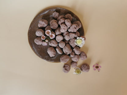 Noisettes caramélisées Chocolatées