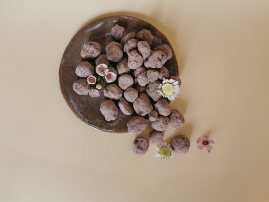 Noisettes caramélisées Chocolatées